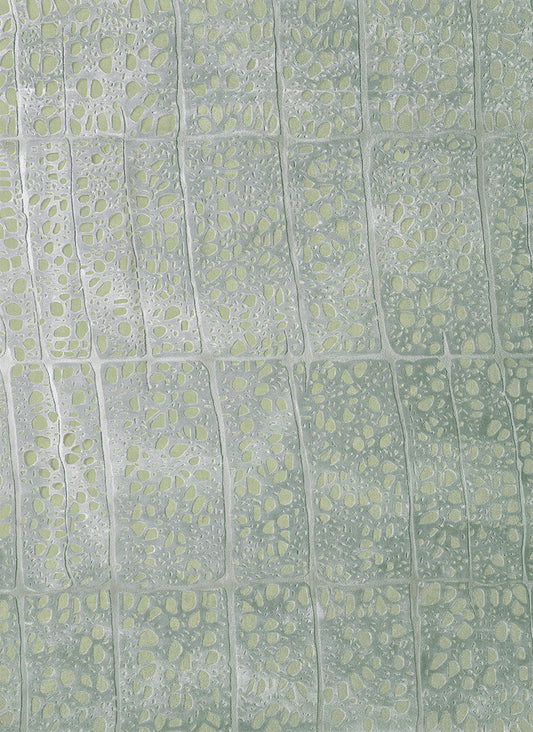 Eira Green